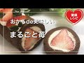 【レンジ3分】簡単まるごと苺♡おからパウダーで作るチョコレートロールケーキの作り方｜ラカントまたはエリスリトール糖質制限ダイエット｜低糖質スイーツレシピ｜お菓子 Low Carb｜グルテンフリー