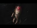 PELYGROSA FULL SONG PELYGROSA FULL SONG