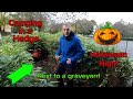 Halloween special camping in a hedge