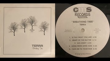 TERRA – [B1] Is That What You Like [USA 1977]