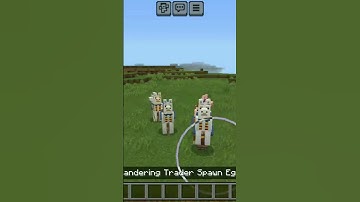 wandering trader #zoltgamerz #minecraft #wanderingtrader #shortsfeed #trending