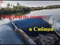 Охота в Cибири, как она есть. Открытие