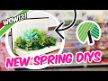 NEW Genius DOLLAR TREE Spring DIYS (Easy but Impressive!) NOT TACKY DIYS 2024! Krafts by Katelyn