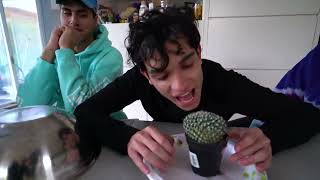 Lucas and Marcus! EAT, LICK, OR LEAVE Challenge! Lucas and Marcus