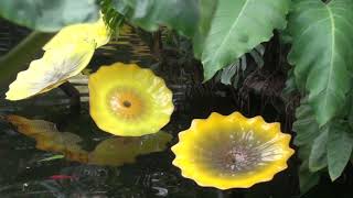 Garfield Park Conservatories Water Displays