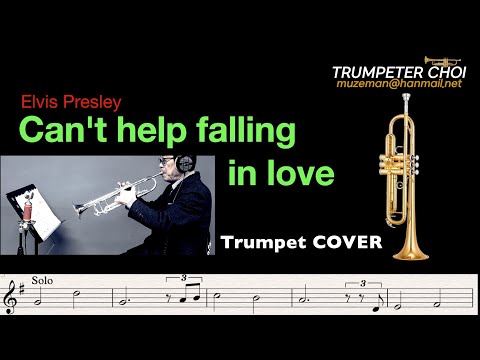 Can T Help Falling In Love 트럼펫연주