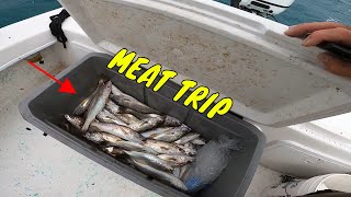 MEAT TRIP *** Filling the Box and having a blast