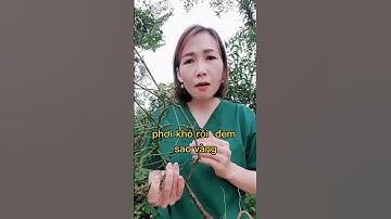Công dụng của cây cỏ xước #shorts #thanhdongvlog