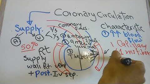 CVS new system (Coronary circulation part 1) dr mohamed fayez