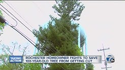 Rochester homeowner fights to save 100-year-old tree from being cut