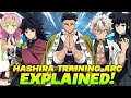 The entire story of the demon slayer hashira training arc