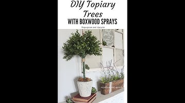 DIY Topiary Trees with Boxwood Sprays for Farmhouse Style Decor