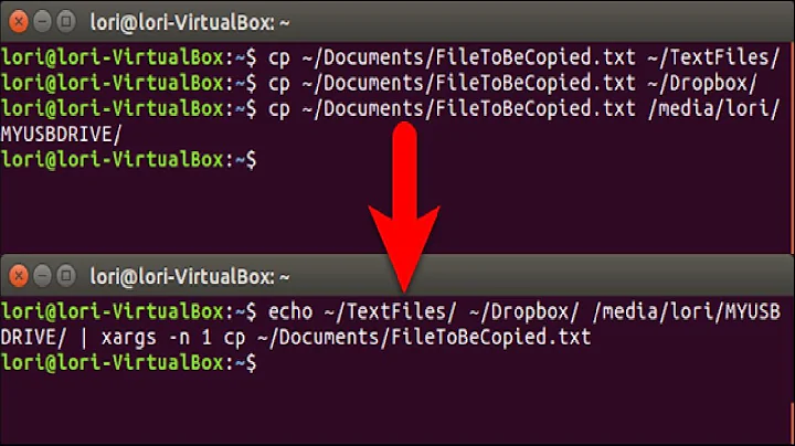 How to Copy a File to Multiple Directories With One Command in Linux