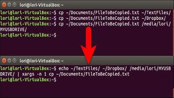 How to Copy a File to Multiple Directories With One Command in Linux