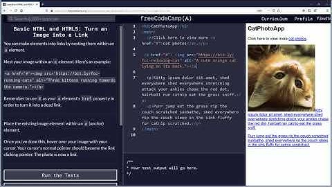 Turn an Image into a Link Free Code Camp Org Basic HTML and HTML5