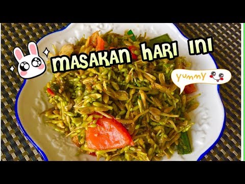  Cara  Memasak Daun Pepaya  Biar Ga Pahit  Bisabo Channel 2021