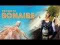 Bonaire Dive Sites - Our Top 4