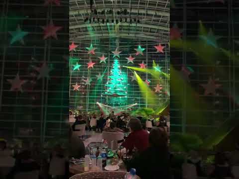 Wideo: Lód! Boże Narodzenie w Gaylord National Resort