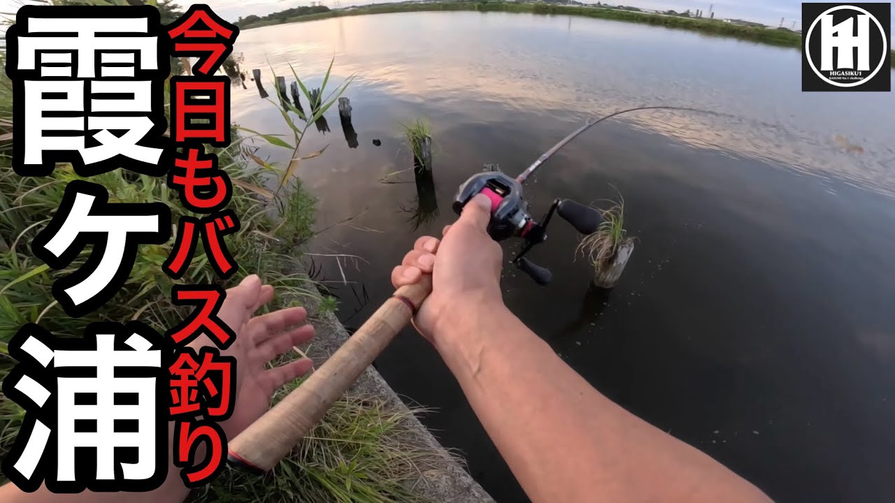 バス釣り霞ヶ浦！お盆休み最終日の夕方に与田浦へ‥2026年8月17日