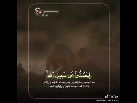 قورئان بە دەنگی پێشەوا الکردی القارئ پێشەوا Quran Beautiful