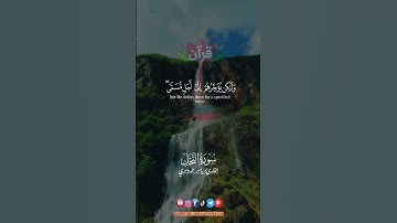 ولو يؤاخذ الله الناس بظلمهم ما ترك عليها من دابة.. #ياسر_الدوسري #سورة_النحل #ريحانة_قرآن #quran