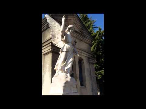 sid'amour-à-mort-(barbara)