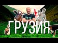 Грузия 2022 - Большое семейное путешествие!