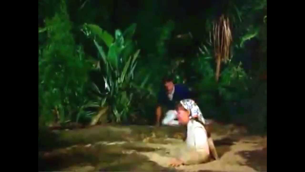 The Flying Nun Quicksand Scene