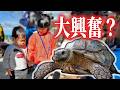【満喫】沖縄、初のウミガメに子どもたち、大興奮!!【沖縄旅行】|日本人・ベトナム人の国際結婚カップル
