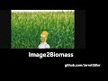 Image2Biomass Multi Modal Deep Learning