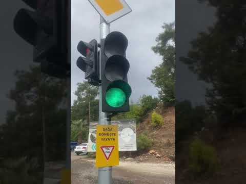 WhatsApp Video 2022