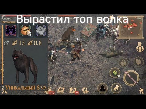 Видео: Вырастил И Прокачал Топового Лютоволка +ТОП Сокровище Проклятых Grim Soul Обновление 1.9.1