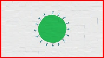 Color Splash video intro / 2017 logo animation video