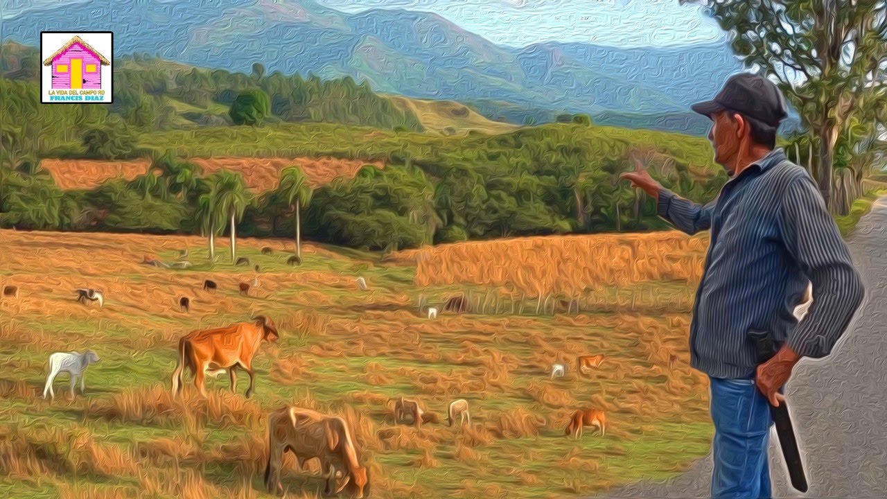 ESTOS LUGARES SON IMPRESIONANTES LA RUTA HACIA PADRE LAS CASAS REPUBLICA DOMINICANA