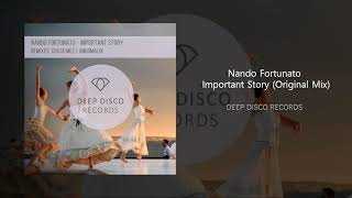 Nando Fortunato - Important Story (Original Mix) Resimi