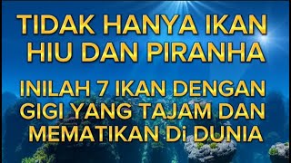 Inilah 7 Ikan Mematikan Lainya Selain Hiu Dan Piranha