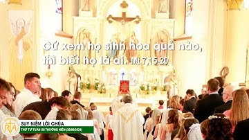 Suy Niệm Lời Chúa, Thứ Tư Tuần XII Thường Niên (26/06/2024)