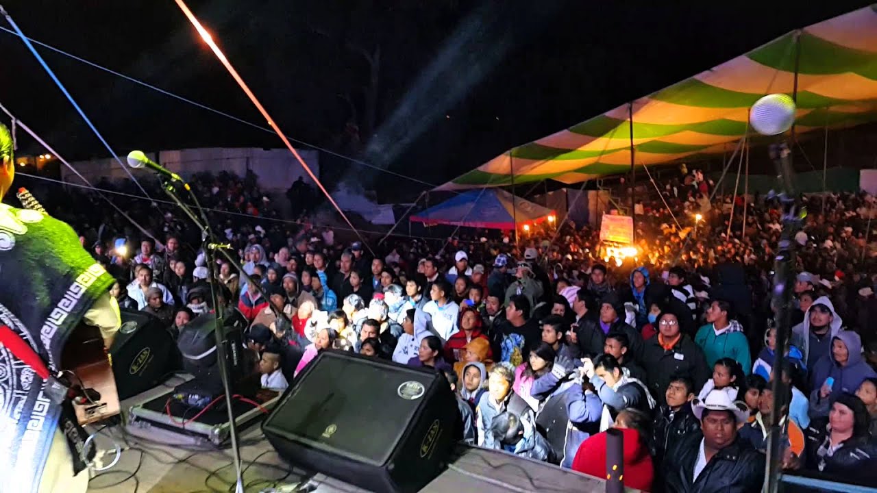 Los capos de mexico en vivo YouTube