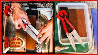 Restauración Y Afilado De Tijeras De Esquilar O De Tusar.