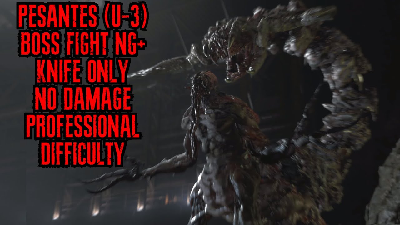 Pesanta (U-3) Base Form Knife Only No Damage Professional Difficulty NG+