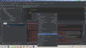 Mybatis 05 使用Mybatis完成CRUD   027Mybatis中的返回值深入 调整实体类属性解决增和改方法的报错