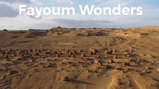 Fayoum Wonders