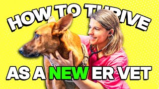 Inside the NERD Program: How to Thrive as a New ER Vet | Ep. 76