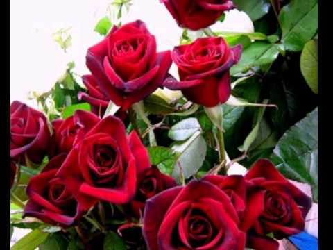 S Dnem Rozhdeniya Ella Youtube