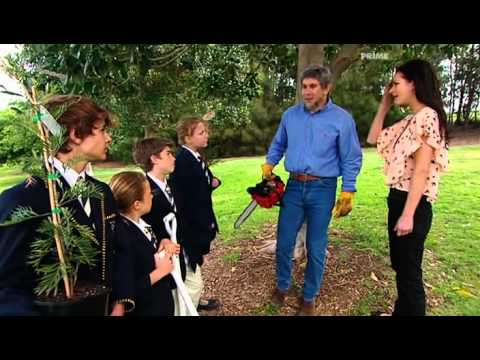 Esther Anderson (Gardening with Don Kirk) The Matt...