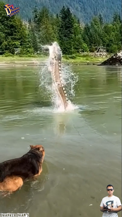🚨 Anjing Kaget! Monster Raksasa Tiba-Tiba Muncul dari Dalam Air 🌊🐍