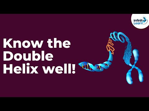 Video: Hva er dobbel helix i biologi?