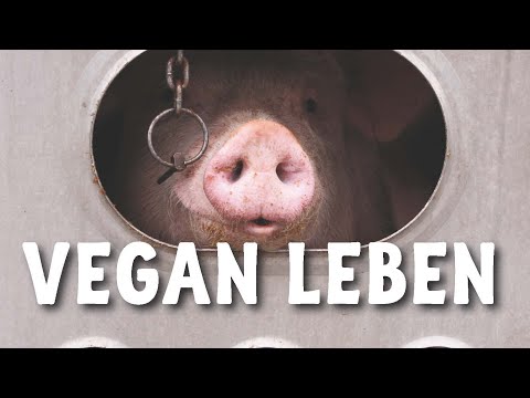 Vegan leben