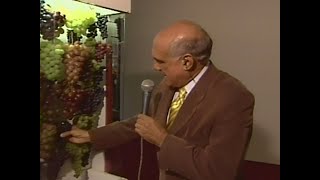 LASIER MARTINS TOMANDO CHOQUE - Jornal do Almoço - RBS TV (1996)