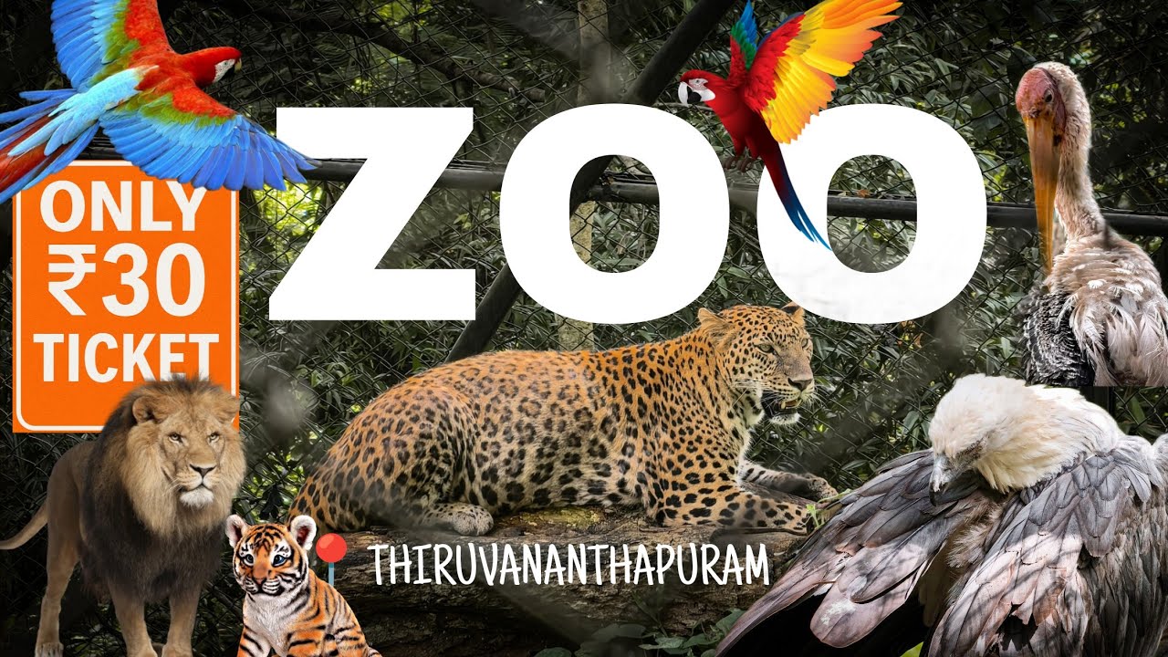 SHOCKING😳Only ₹30 Zoo Ticket?! 😱🐯 Full Malayalam Trivandrum Zoo Vlog 2025 (Ticket, Timing, Review)